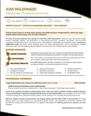 GLOBAL TECHNOLOGY EXECUTIVE