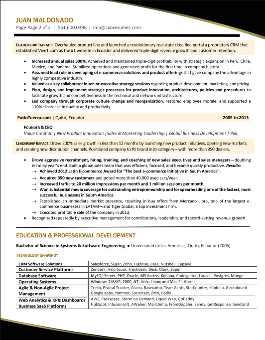 GLOBAL TECHNOLOGY EXECUTIVE - Image 2