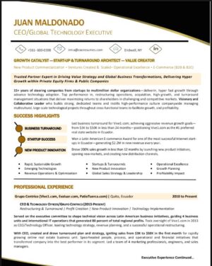 CEO GLOBAL TECHNOLOGY EXECUTIVE