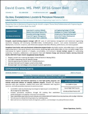 Engineer and Program Management Leader